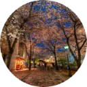 Kyoto Wallpaper New Tab icon