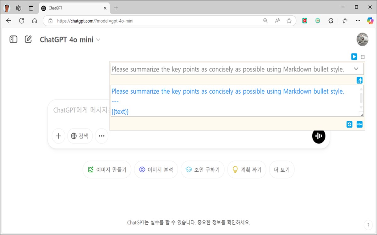 ChatGPT User Prompt