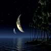 Sleep Waves