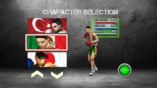 Fighting Boxing screenshot 1