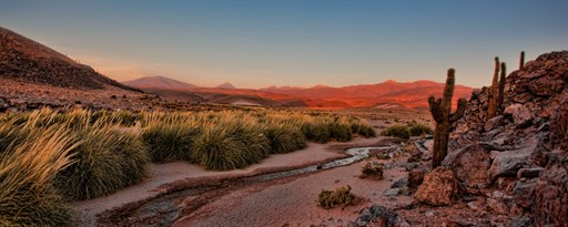 Atacama Desert Wallpaper New Tab marquee promo image