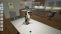 screenshot7