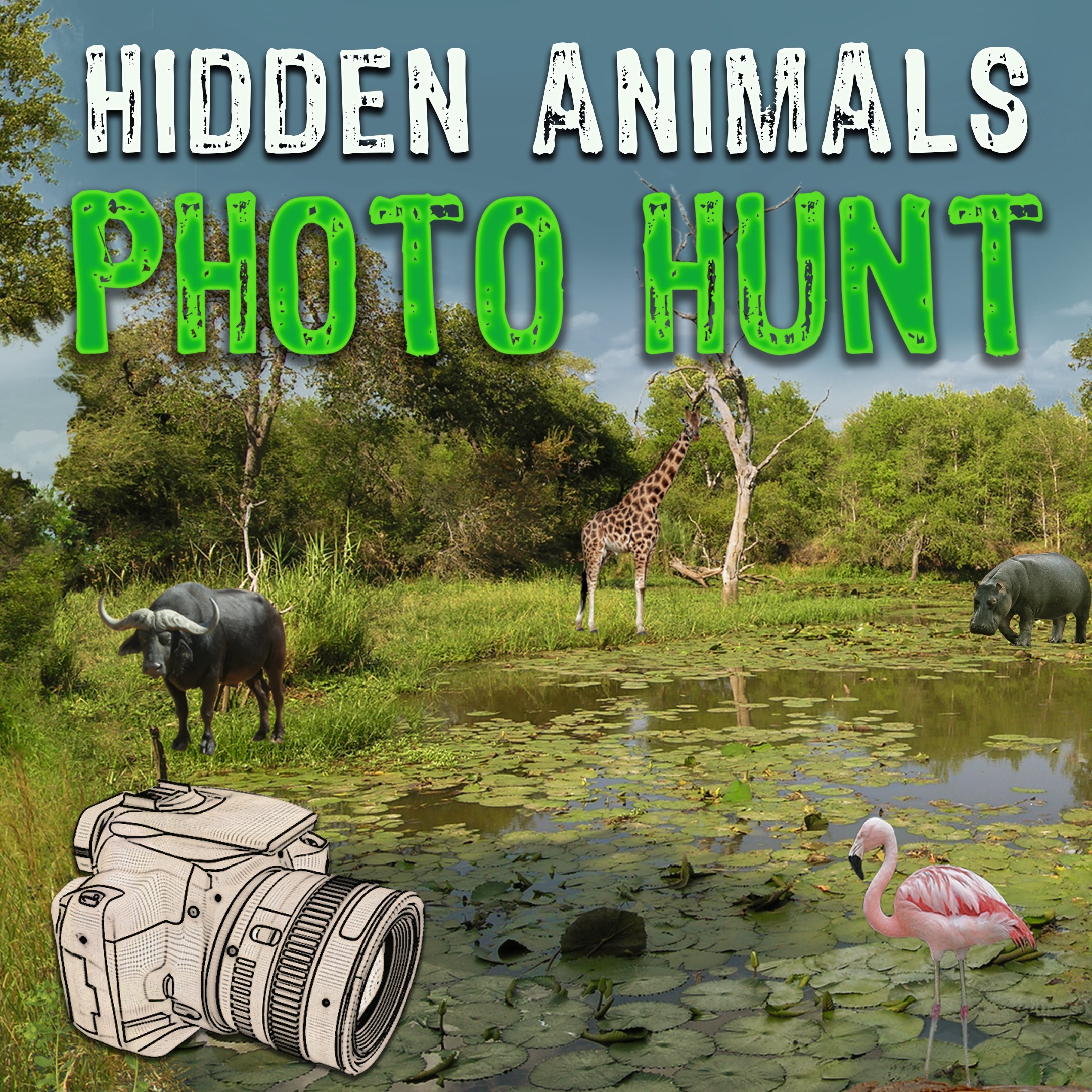 Fotosafari: Wimmelbild