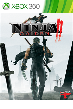 Cover poster for NINJA GAIDEN II