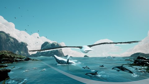 Toroa: Skycall