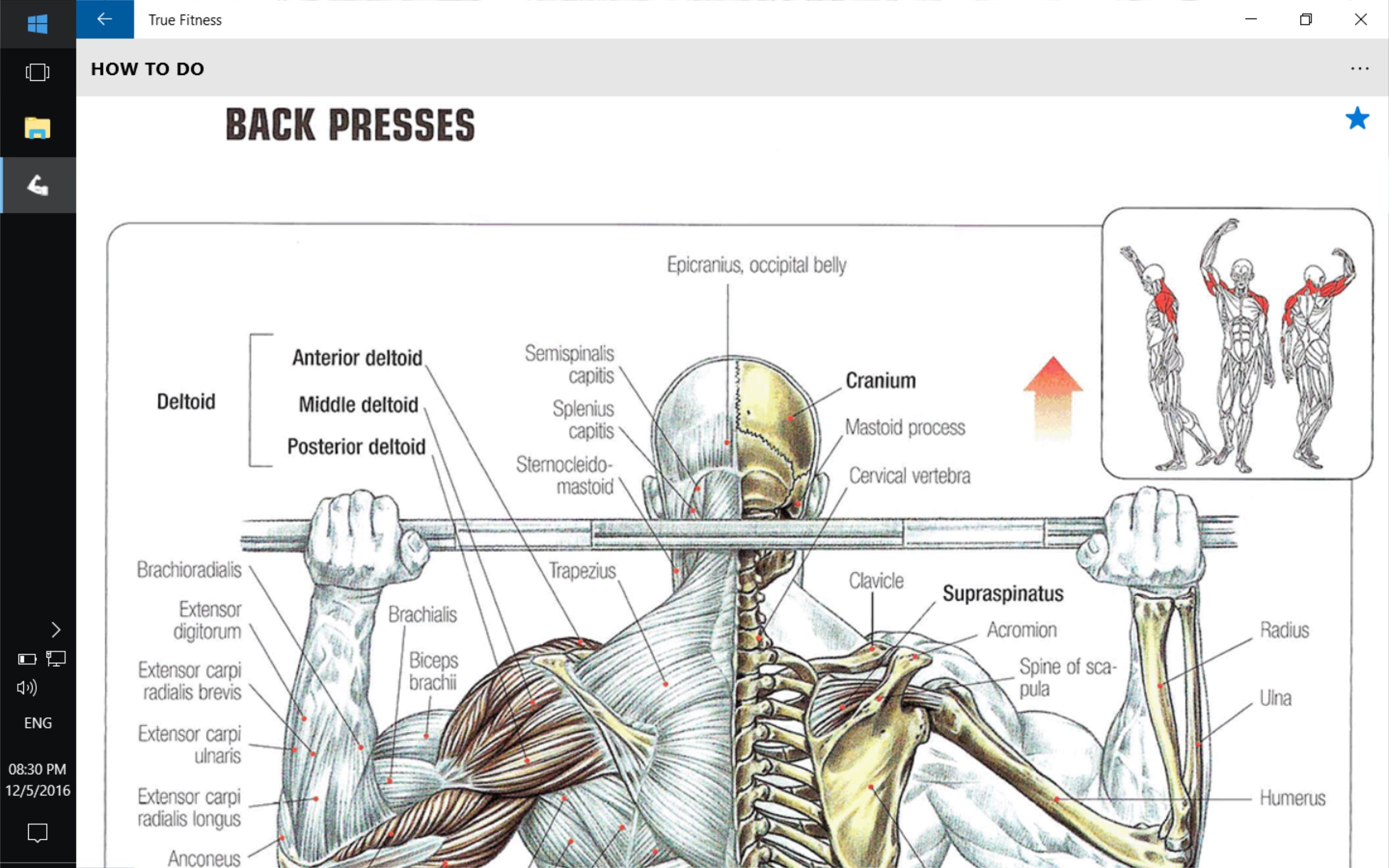 Total abdominal тренажер. микро пресс. пресс для закрывания форм. пресс для задней крышки часов купить. комплект нажимных крышек press-o.