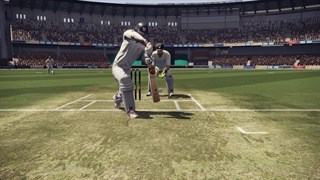 Don Bradman Cricket screenshot 5