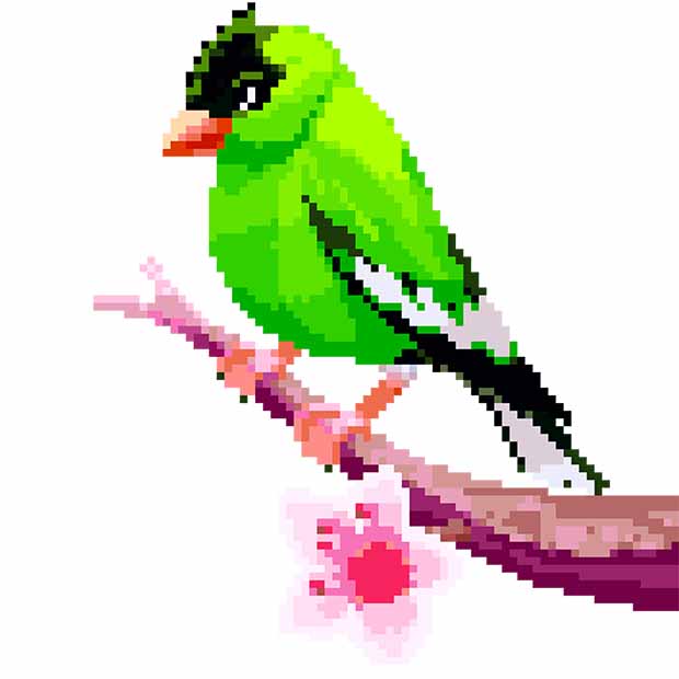 Recevoir Birds Color By Number Pixel Art Sandbox Coloring