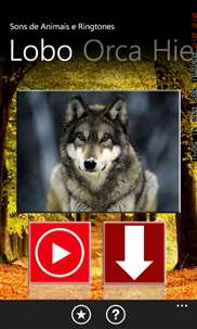 Sons de Animais e Ringtones - FREE screenshot 8