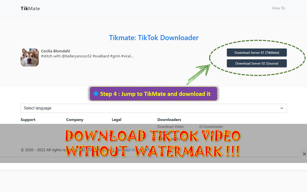 TikMate: Tik Tok Video Downloader