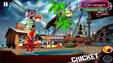 Cricket 3D World Street Challenge Screenshots 2