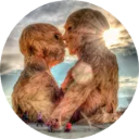 Burning Man Wallpaper New Tab icon