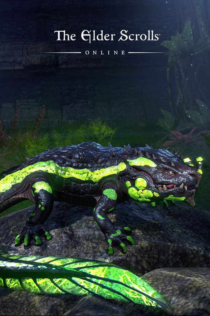 The elder scrolls online - newcomer pack cracked