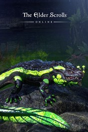 The Elder Scrolls Online: Newcomer Pack