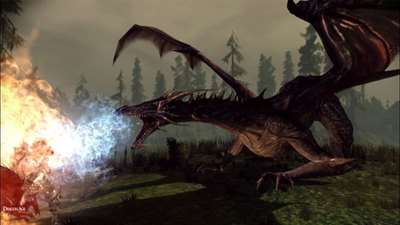Dragon Age: Origins screenshot 1