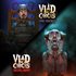 Vlad Circus Bundle