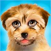 My Virtual Pet Shop Littlest