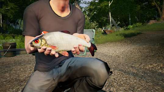 Fishing Sim World + Euro Fishing screenshot 7
