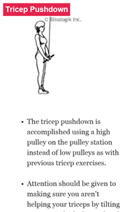 Complete Triceps Exercises screenshot 6