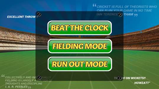 Cricket Run Out 3D screenshot 2