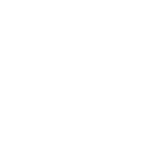 DICOM Viewer Essential