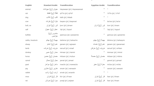 Arabic Learning screenshot 2