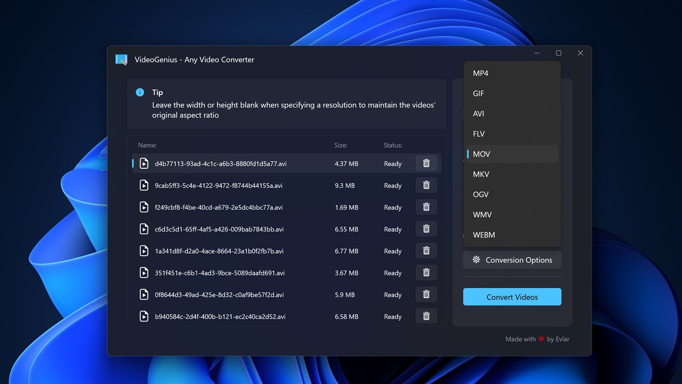 #3. VideoGenius - Any Video Converter (Windows) Av: Evlar