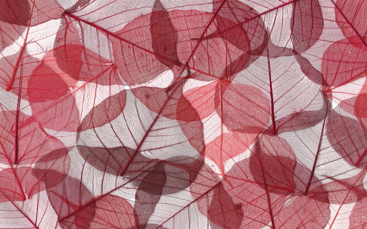 #1. Leafy Structures (Windows) 由: Microsoft Corporation