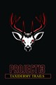 Project 13: Taxidermy