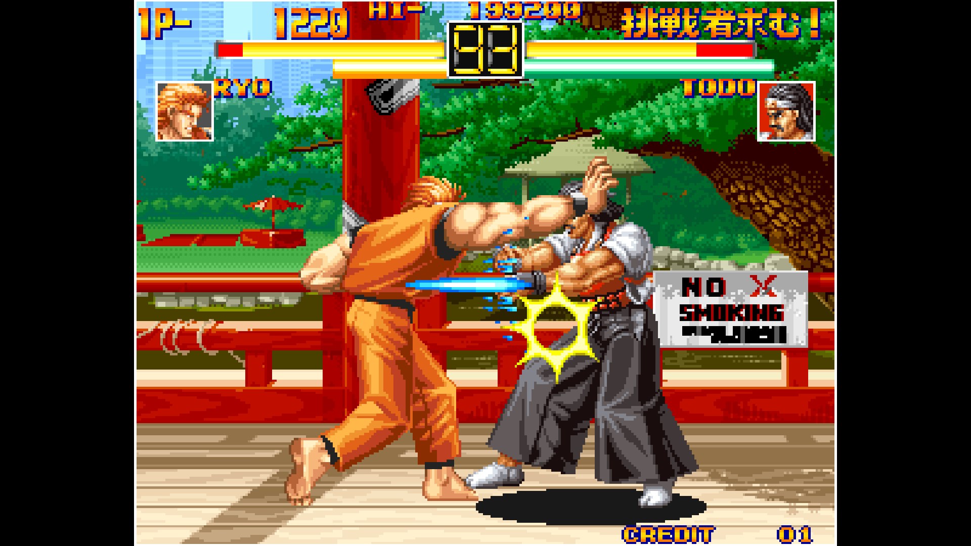 ACA NEOGEO ART OF FIGHTING | Xbox | Chiave | Privato