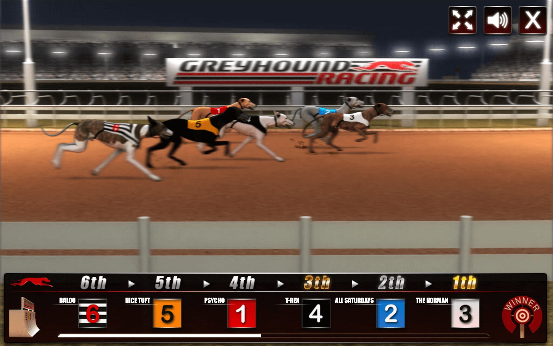 Captura 3 Greyhound-Racing windows