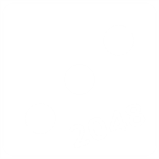 DICE 2048