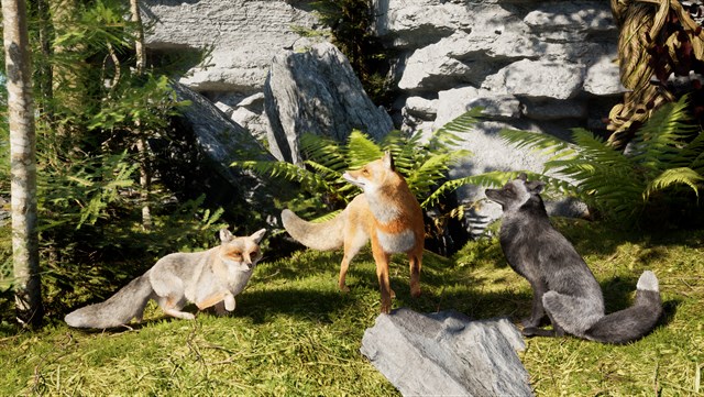Spirit of the North 2: SaveAFox Pack screenshot 4