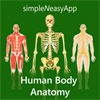 Human Body Anatomy