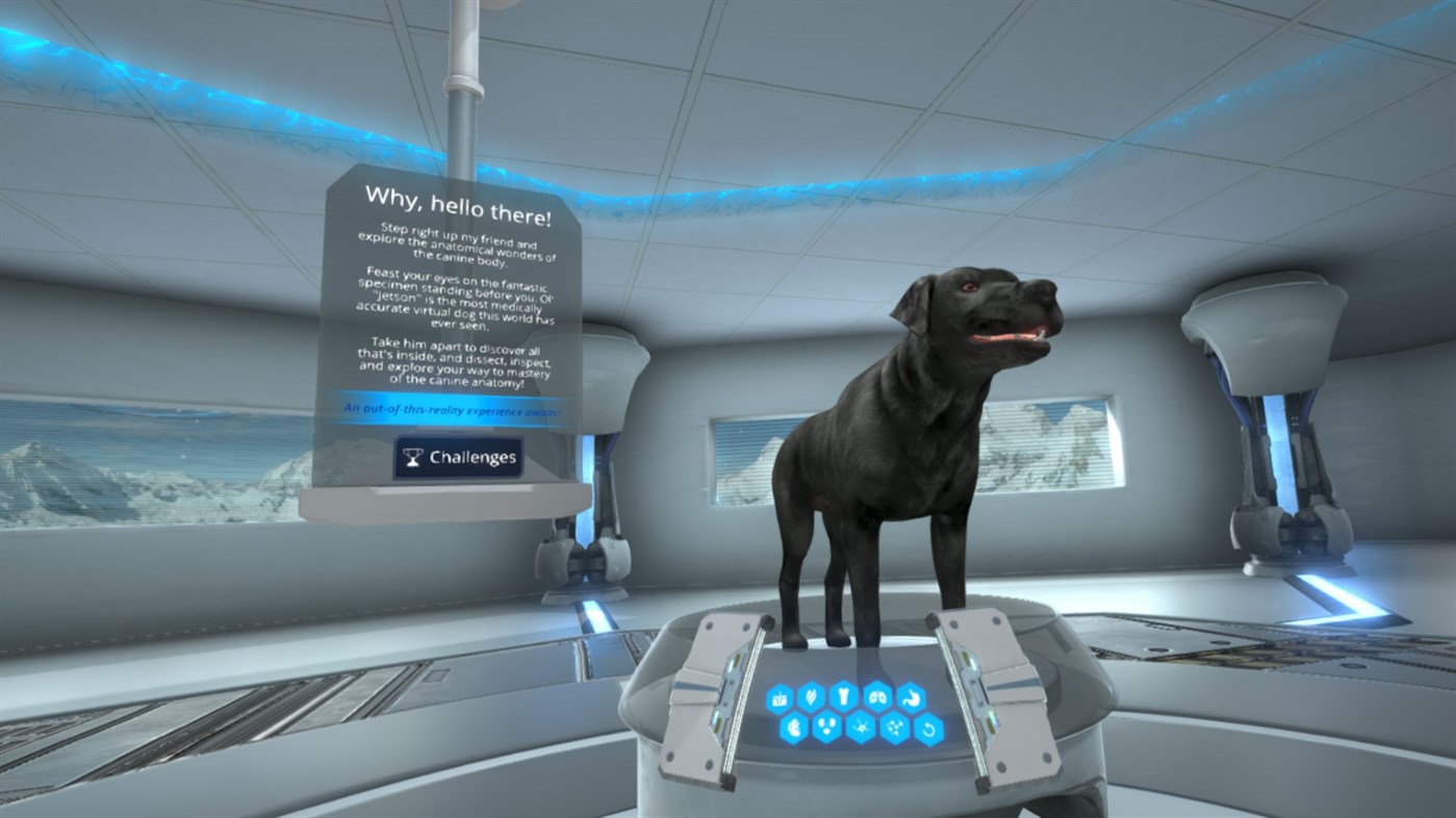 #2. JetsonVR (Windows) Podle: LlamaZOO Interactive Inc.