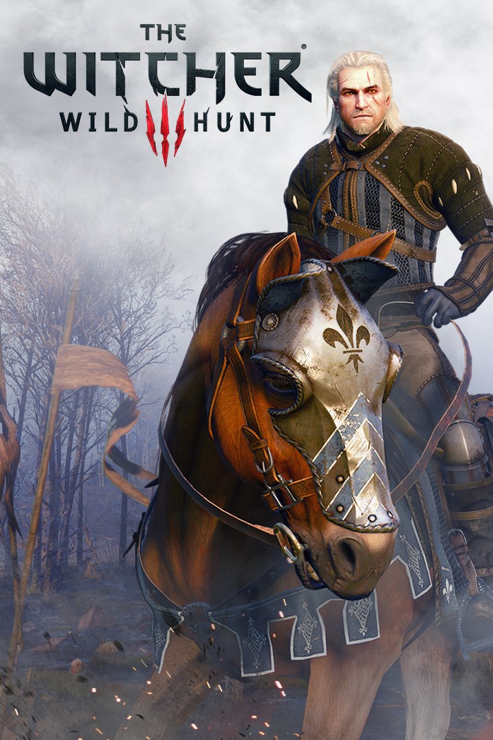 the witcher 3 microsoft store