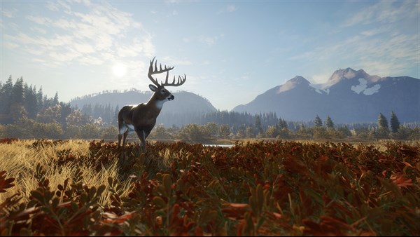 theHunter: Call of the Wild™ - Windows 10 — 9