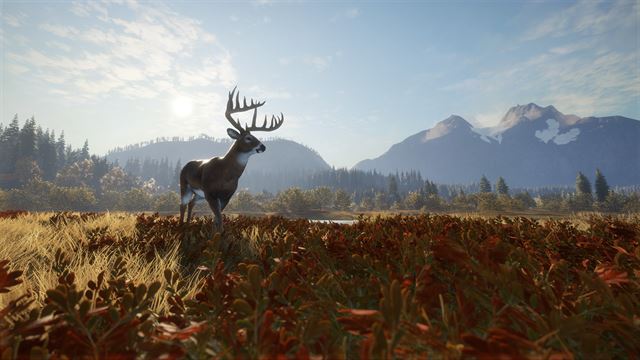 theHunter: Call of the Wild™ - Windows 10 screenshot 9