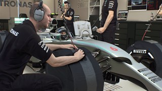F1™ 2015 screenshot 4