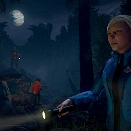 Aperçu Through the Woods