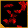 Falling rose petals