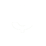 Online CurrencyConverter