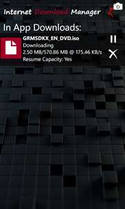 Internet Download Manager [LZ] Pro screenshot 4
