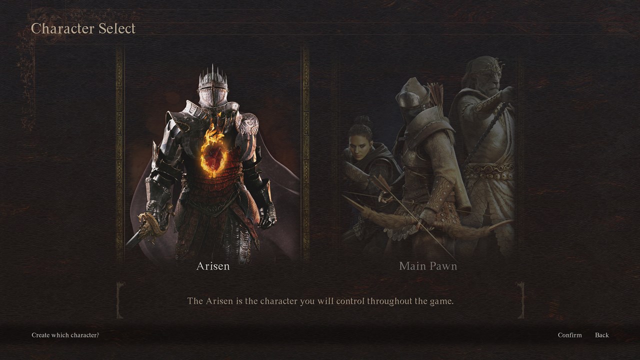 Dragon's Dogma 2 Character Creator & Storage screenshot 1
