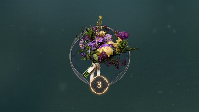 Набор материалов из Fable Premium Edition — скриншот 3