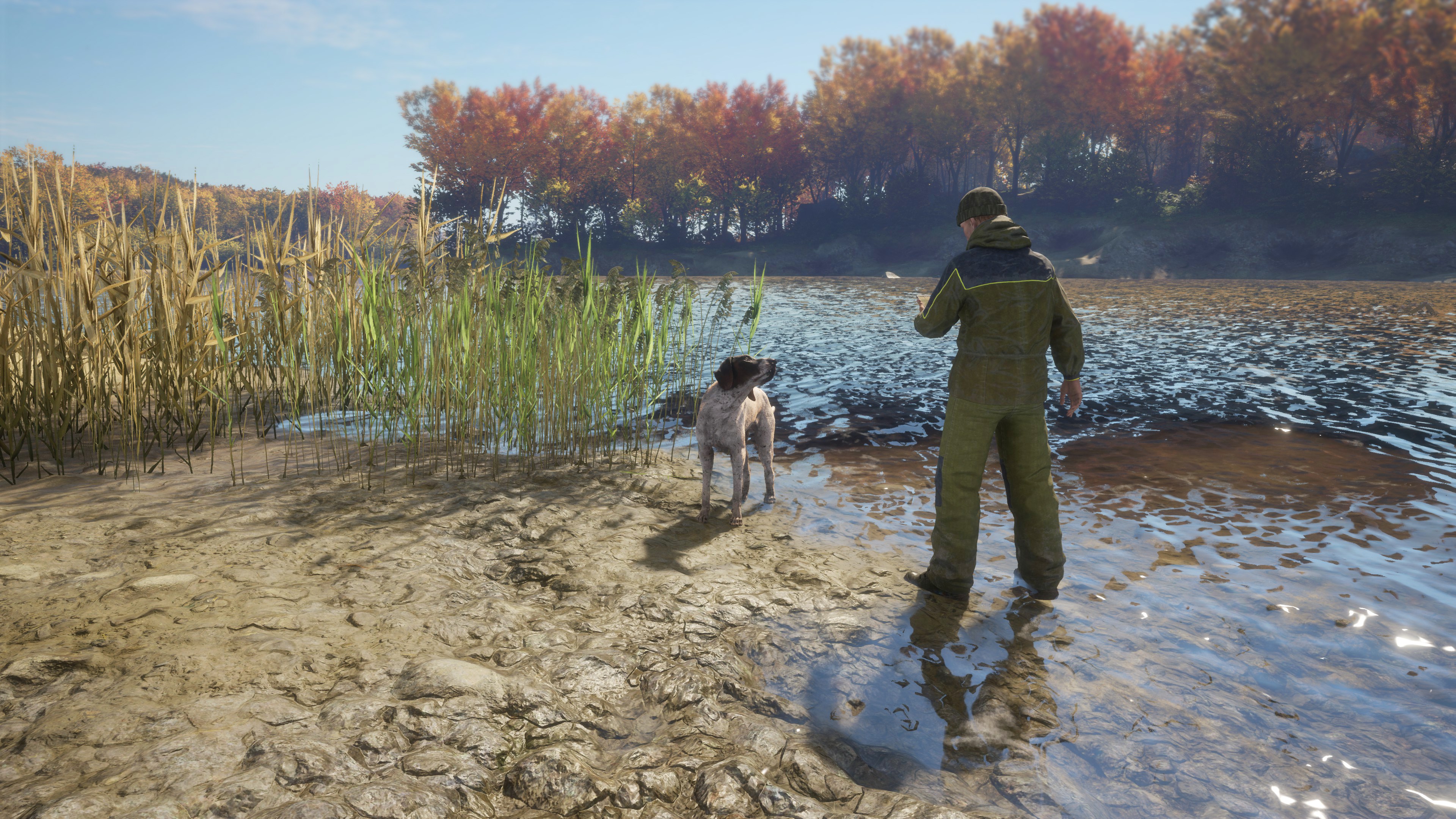 theHunter: Call of the Wild™ - German Shorthaired Pointer | Xbox | Chiave | Privato