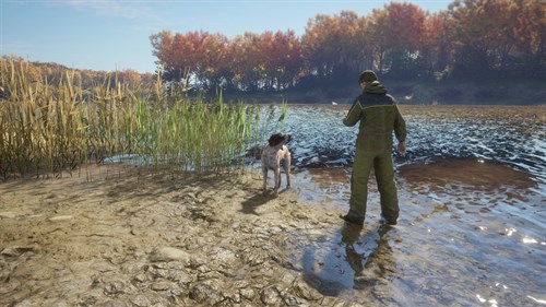 theHunter: Call of the Wild™ - German Shorthaired Pointer