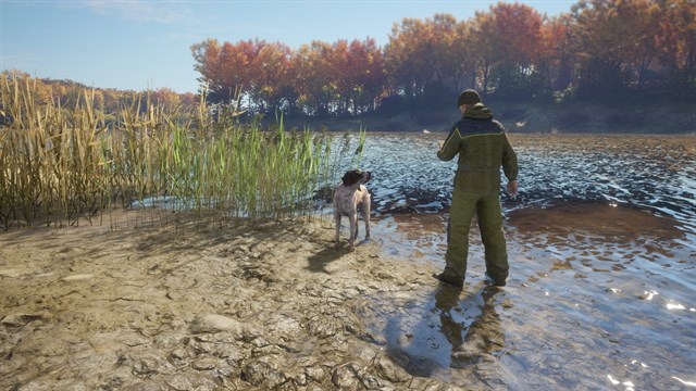 theHunter: Call of the Wild - German Shorthaired Pointer screenshot 2