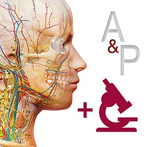 解剖和生理学: 人体系统的介绍