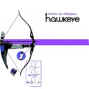 Hawkeye Wallpaper New Tab icon